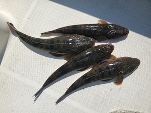 20230723_150305_コピー