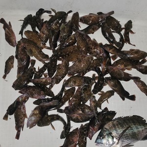 20230812_034249_コピー