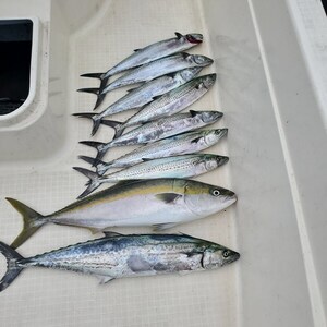 20231001_131244_コピー