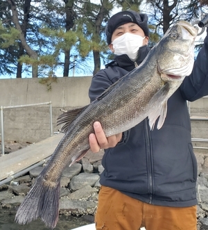 20231203_110520_コピー