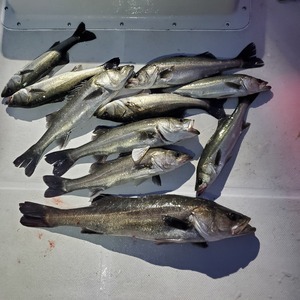 20240222_062005_コピー