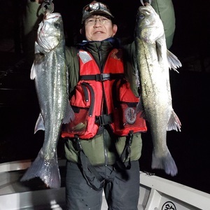 20240225_012834_コピー