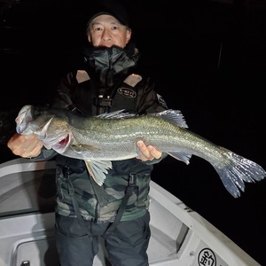 20240225_012652_コピー