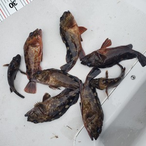 20240225_083036_コピー