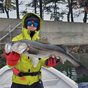 20240225_081708_コピー