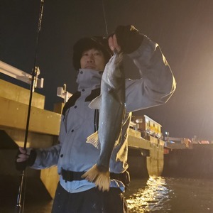 20240225_193657_コピー