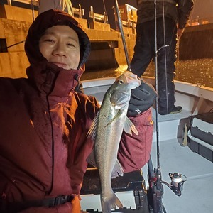 20240225_193145_コピー