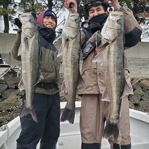 20240229_154900_コピー