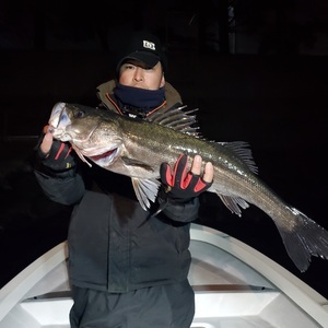 20240303_010244_コピー