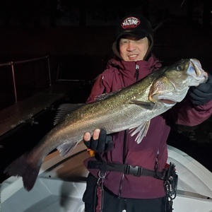 20240303_010619_コピー