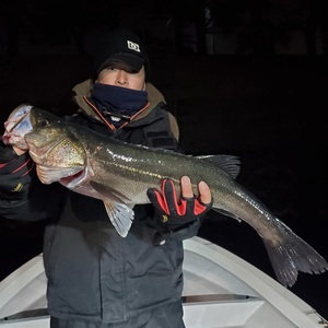 20240303_010753_コピー