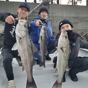 20240304_061946_コピー