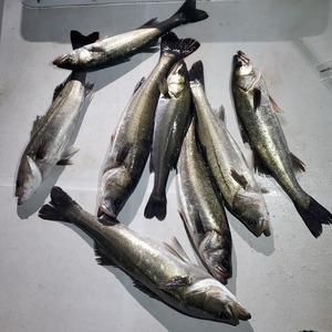 20240316_012415_コピー