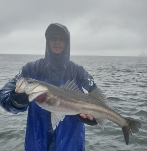 20240327_160754_コピー