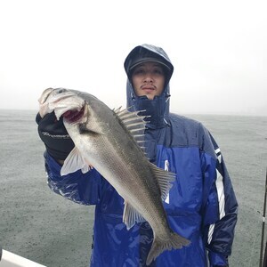 20240326_085953_コピー