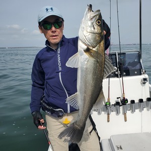 20240406_091305_コピー