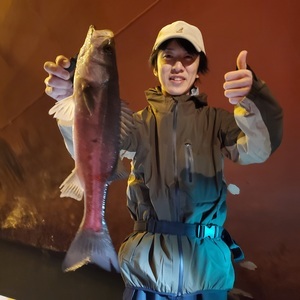 20240406_210018_コピー