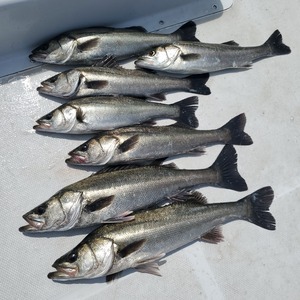 20240411_122107_コピー