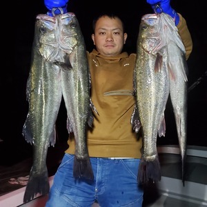 20240415_192729_コピー