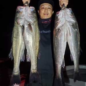 20240415_192622_コピー