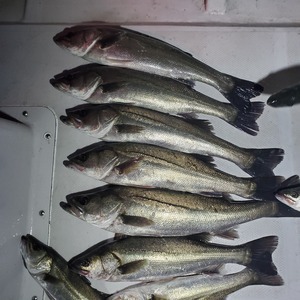 20240415_191917_コピー