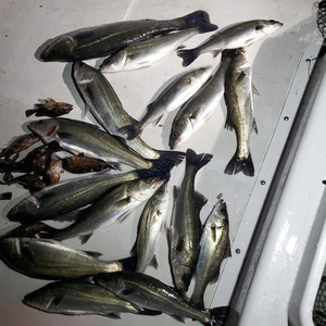 20240420_010443_コピー