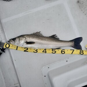 20240418_092808_コピー