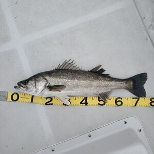 20240418_134116_コピー