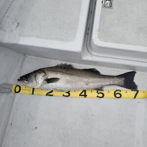 20240418_142539_コピー