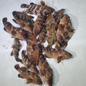 20240420_234239_コピー