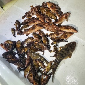 20240420_234412_コピー