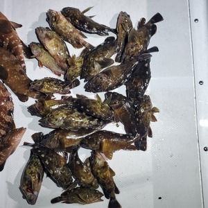 20240423_204538_コピー