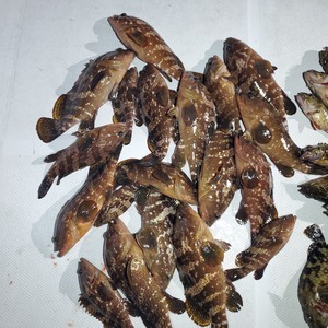 20240423_204525_コピー