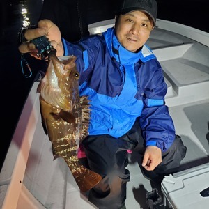 20240423_185426_コピー