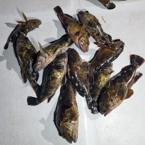 20240505_215145_コピー