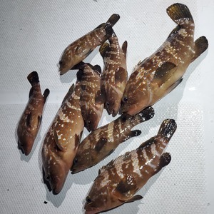 20240505_215048_コピー