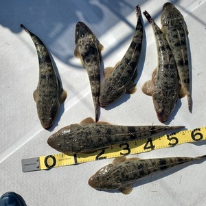 20240505_153258_コピー