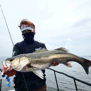 1716165157020_コピー