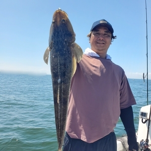 20240818_154919_コピー