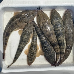 20240818_111231_コピー