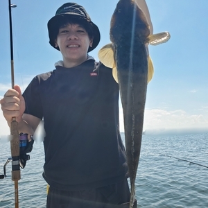 20240826_015342_コピー