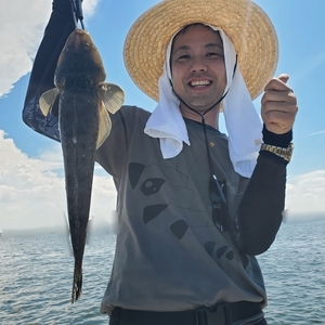 20240826_015502_コピー