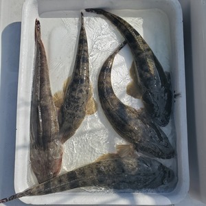 20240825_150015_コピー