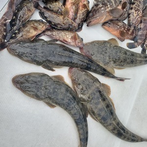 20240914_155200_コピー