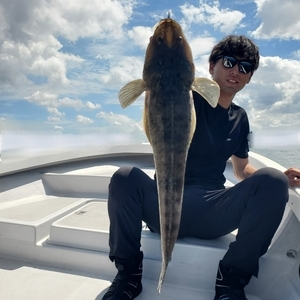 20240918_104059_コピー