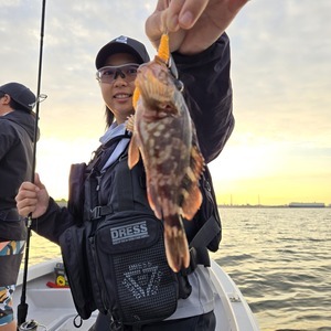 20240925_060045_コピー