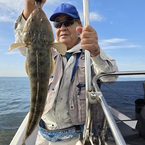 20240925_084614_コピー