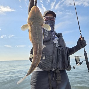 20240925_085854_コピー