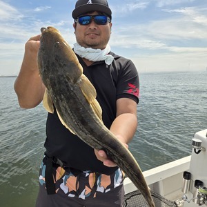 20240925_111950_コピー