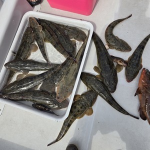 20240925_115937_コピー